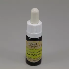 Bach virágeszencia ernyős madártej 10 ml