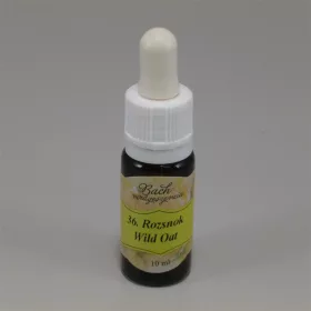 Bach virágeszencia rozsnok 10 ml