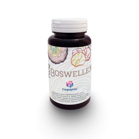 Freyagena forte boswellex kapszula 60 db
