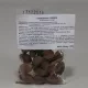 Dr.chen pangdahai termés 20 g
