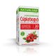 Naturland csipkebogyó tea 20x2,5g 50 g