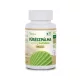 Netamin fűrészpálma 450 mg 30 db