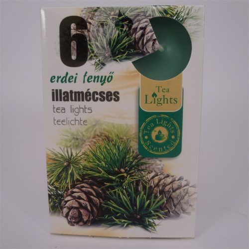 Illatmécses erdei fenyő illattal 6 db