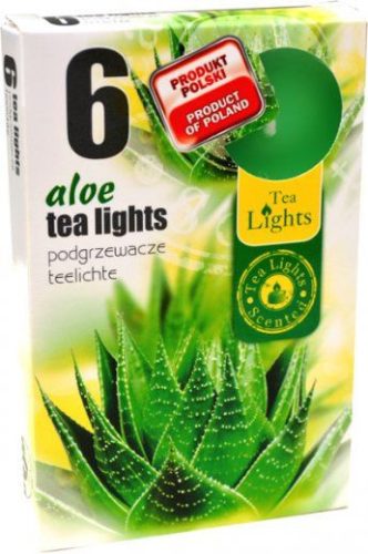 Illatos teamécses aloe vera 6 db-os 1 db