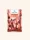 Viblance granola granella 60 g