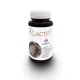 Freyagena cn-x lacto7 probiotikum kapszula 60 db