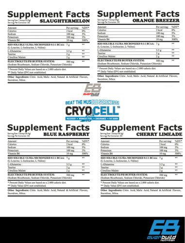 EverBuild Nutrition - CRYO CELL / 30 adag - Orange Breezer - Aminosav, Narancs