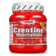 AMIX Nutrition - Creatine Monohydrate Powder 300g - Kreatin monohidrát