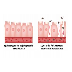   NapfényVitamin ColonBalance Plus problémaspecifikus probiotikum (60)