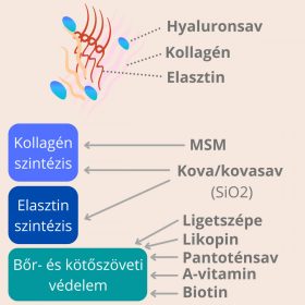   NapfényVitamin ReVital Skin &Body bőr és kötőszövet tápláló (30)