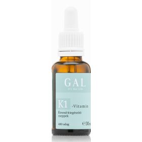 GAL K1-Vitamin 1000mcg K-vitamin x 480 adag