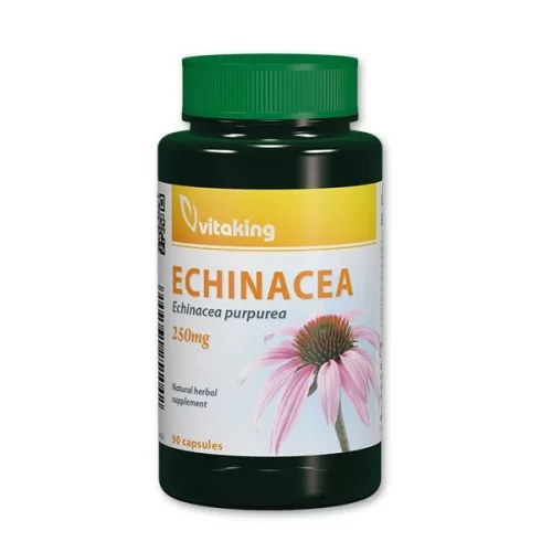 Vitaking echinacea kapszula 90 db