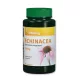 Vitaking echinacea kapszula 90 db