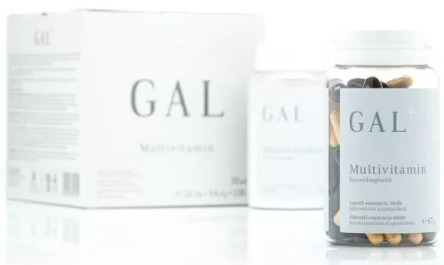 Gal multivitamin plusz 60+30+italpor étrend-kiegészítő 22,9g+44,4g+138,6g 1 db