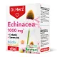Dr.herz echinacea 500 mg+c-vitamin+szerves cink kapszula 60 db