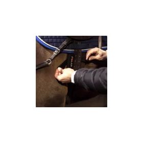 POLAR EQUINE BELT BLK FOR RIDING GEN