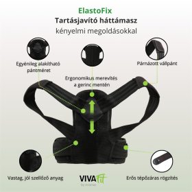   ElastoFix tartásjavító háttámasz merevítéssel és elasztikus pántrendszerrel L