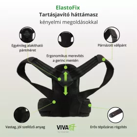   ElastoFix tartásjavító háttámasz merevítéssel és elasztikus pántrendszerrel XL