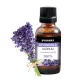 Levendula 100%-os tisztaságú illóolaj (10 ml)